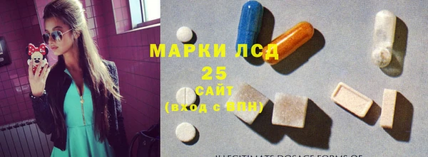 PSILOCYBIN Армянск