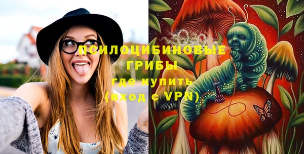 spice Новозыбков