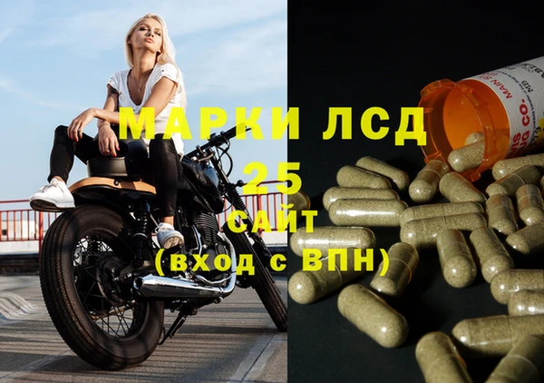 a pvp Аркадак