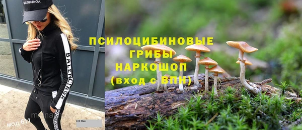 гашик Новокубанск