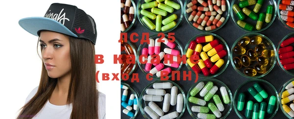 PSILOCYBIN Армянск