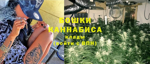 PSILOCYBIN Армянск