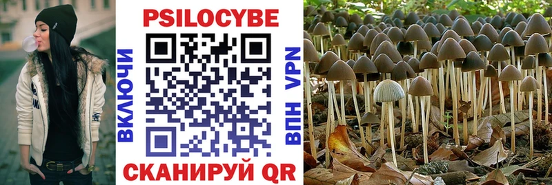 Псилоцибиновые грибы MAGIC MUSHROOMS  даркнет сайт  Инта 